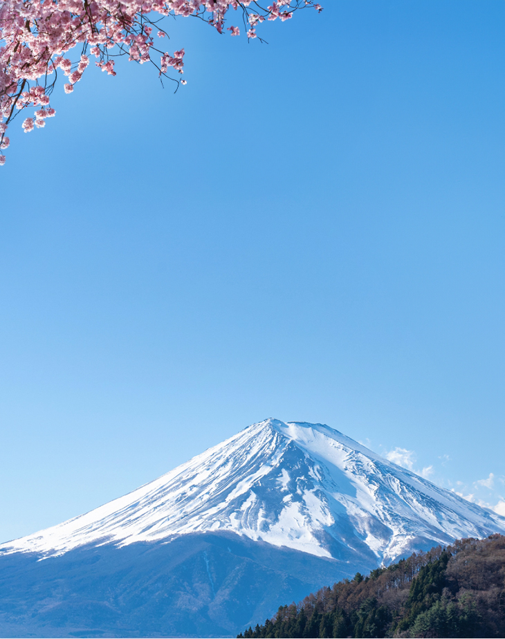 2026 Japan Cherry Blossoms Pre-Wedding Photoshoot Promotion