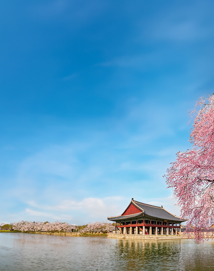 2026 Korea Cherry Blossoms Pre-Wedding Photoshoot Promotion