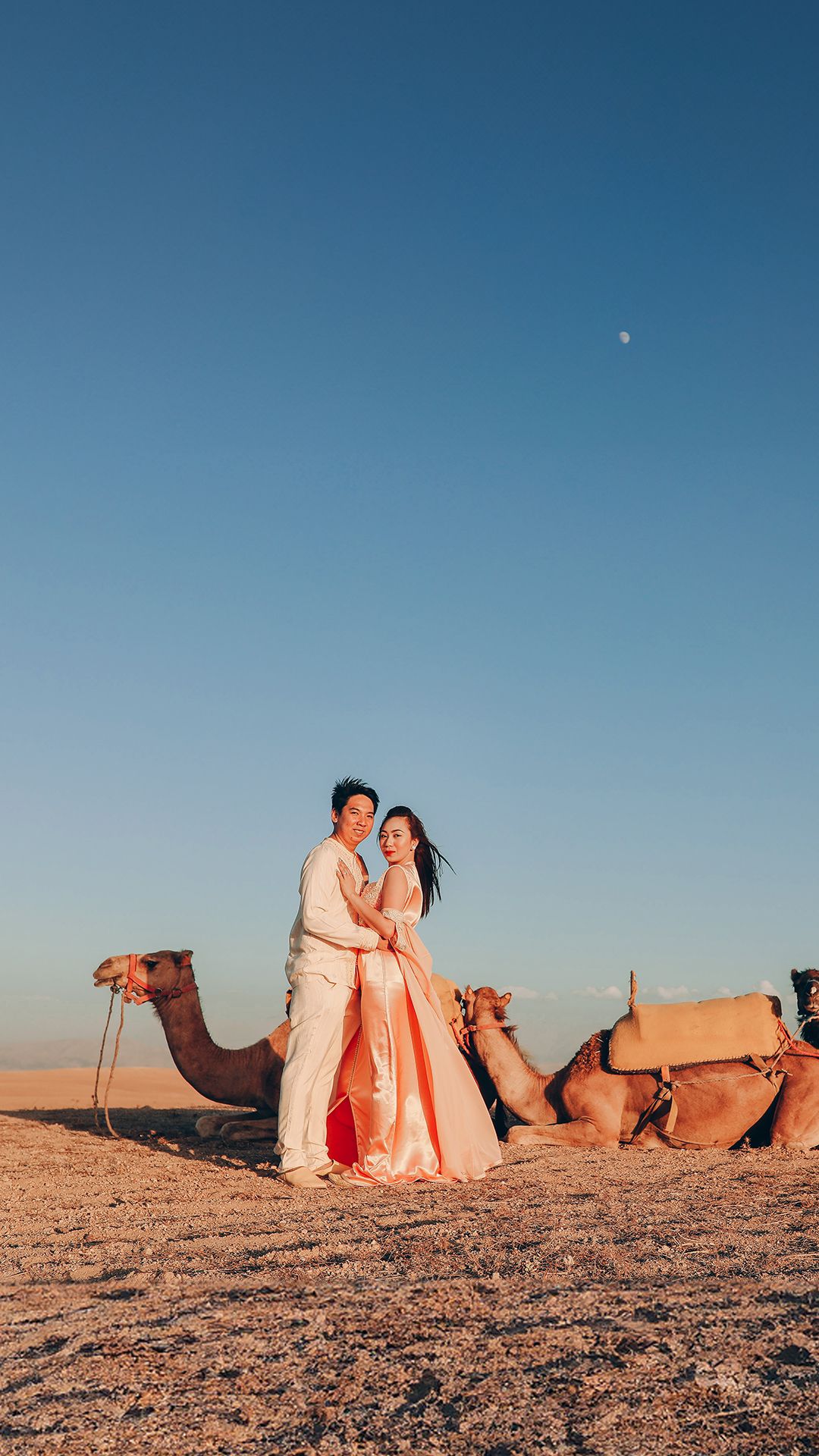 Camel Rides