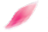 cherry blossoms petals